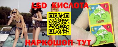 гашик Обь