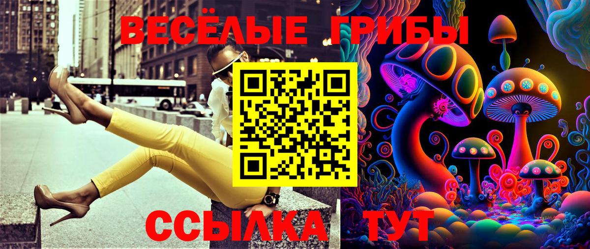 хочу   Вход с VPN  Тихорецк  Псилоцибиновые грибы Magic Shrooms 